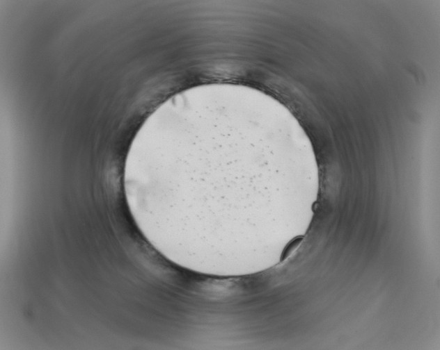 X0000112890086200910021423