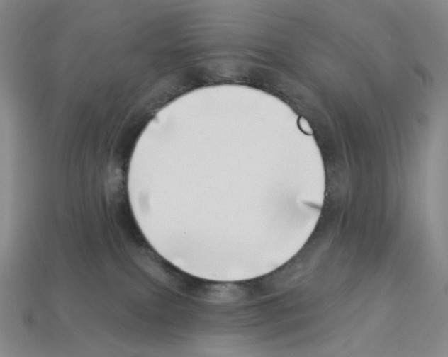 X0000112890087200910021423