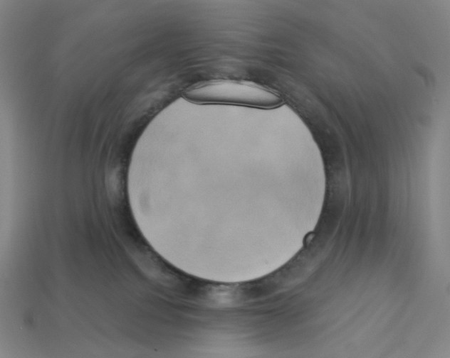 X0000112890088200910021423