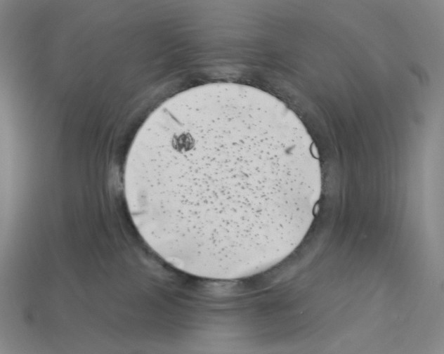 X0000112890089200910021423