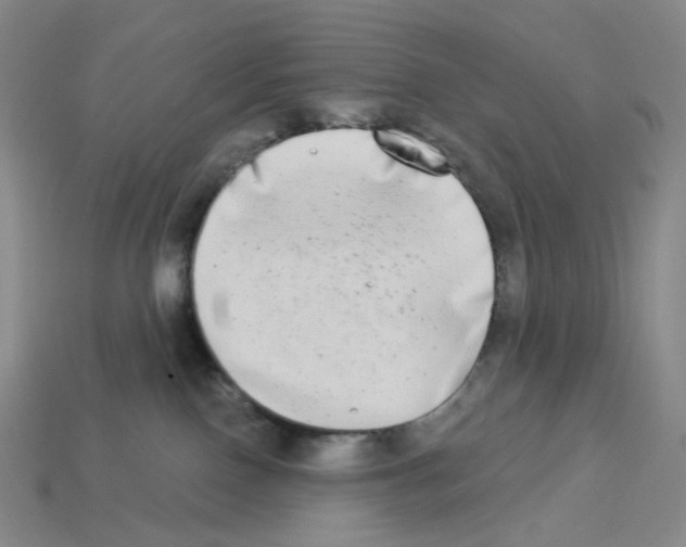 X0000112890090200910021423