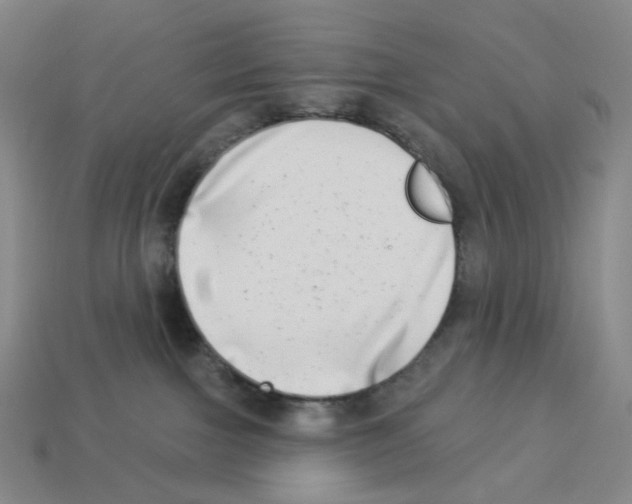 X0000112890091200910021423