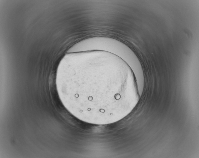 X0000112890092200910021423
