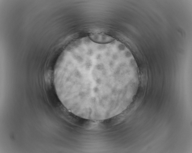 X0000112890093200910021423
