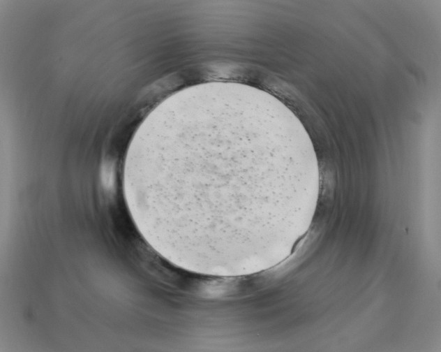 X0000112890094200910021423