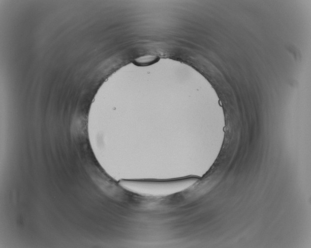 X0000112890096200910021423