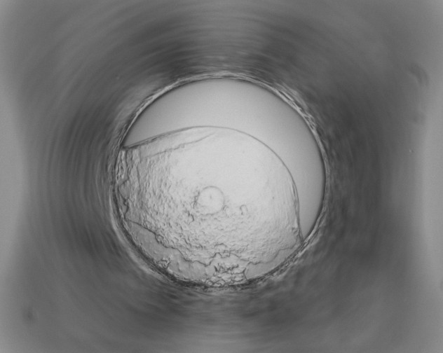 X0000112890097200910021422