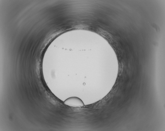 X0000112890098200910021422