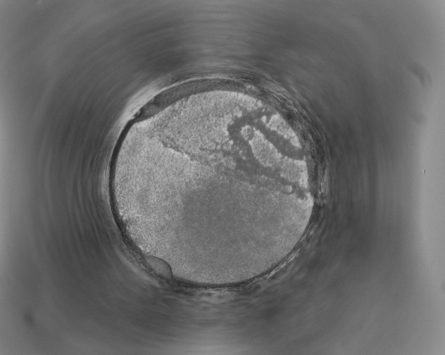 X0000112890099200910021422