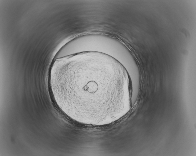X0000112890100200910021422