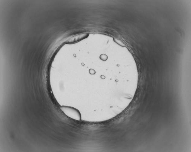 X0000112890103200910021422