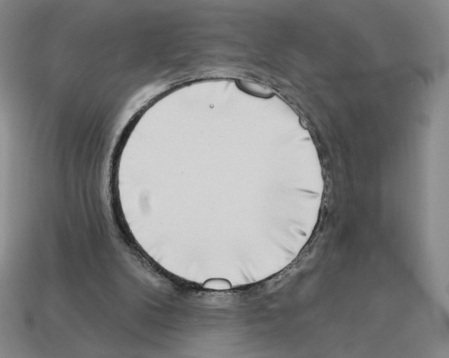 X0000112890104200910021422