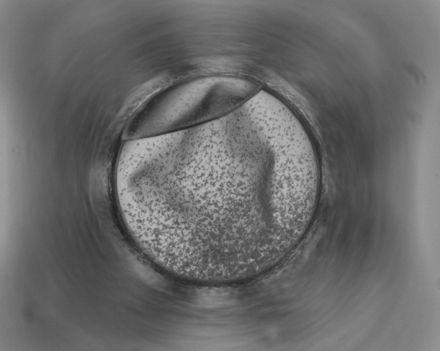 X0000112890105200910021422