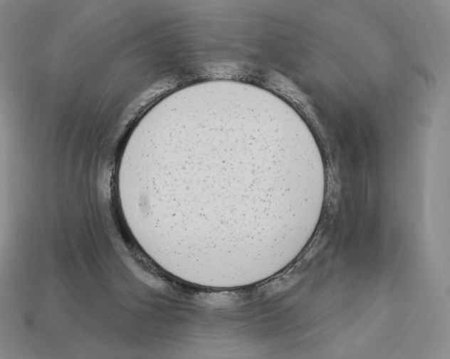 X0000112890106200910021422