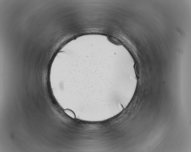 X0000112890107200910021422