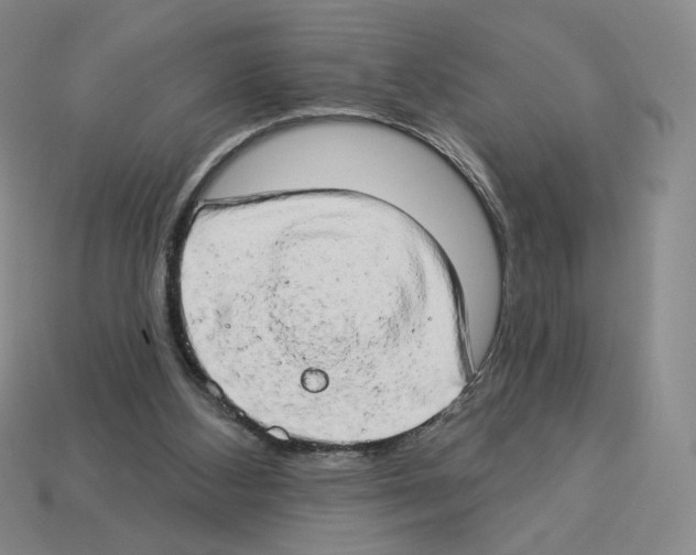 X0000112890108200910021422
