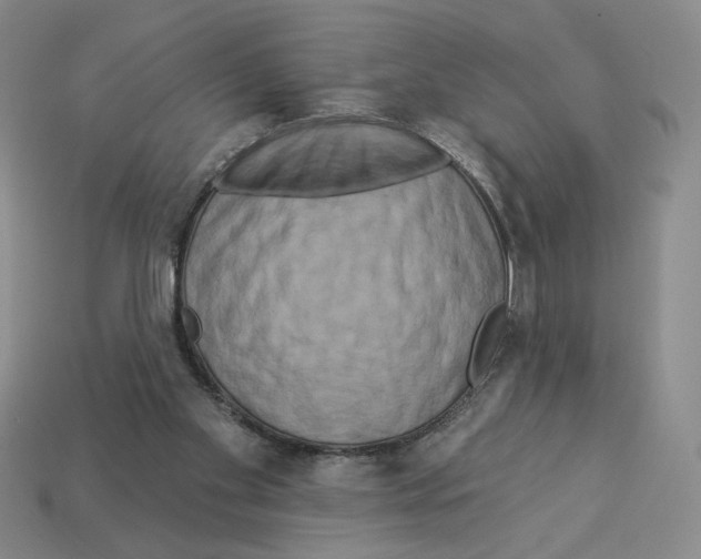 X0000112890109200910021422