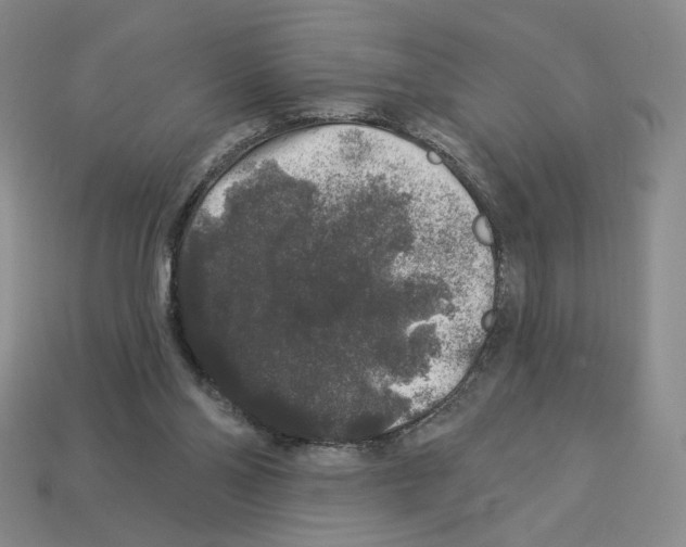 X0000112890110200910021422