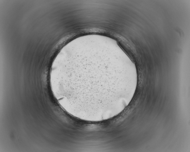 X0000112890111200910021422