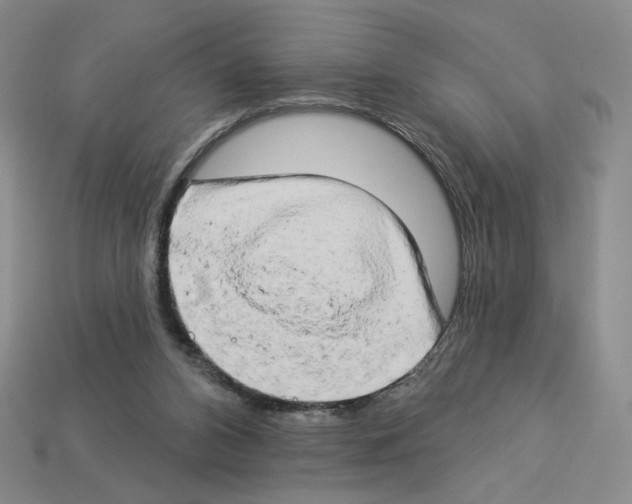 X0000112890112200910021422
