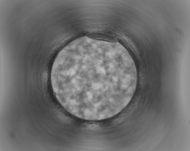 X0000112890113200910021422