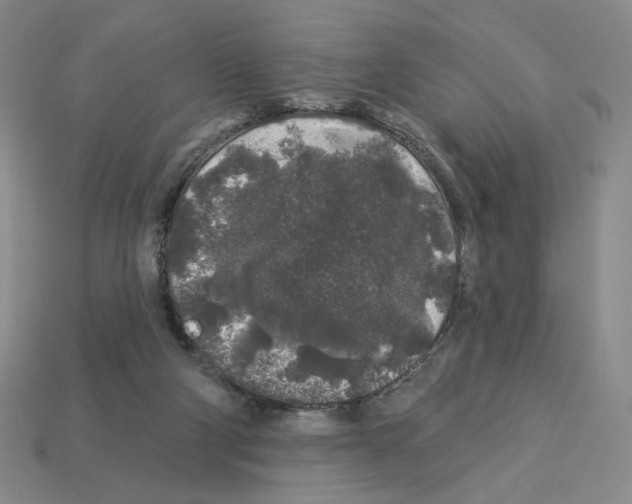 X0000112890114200910021422