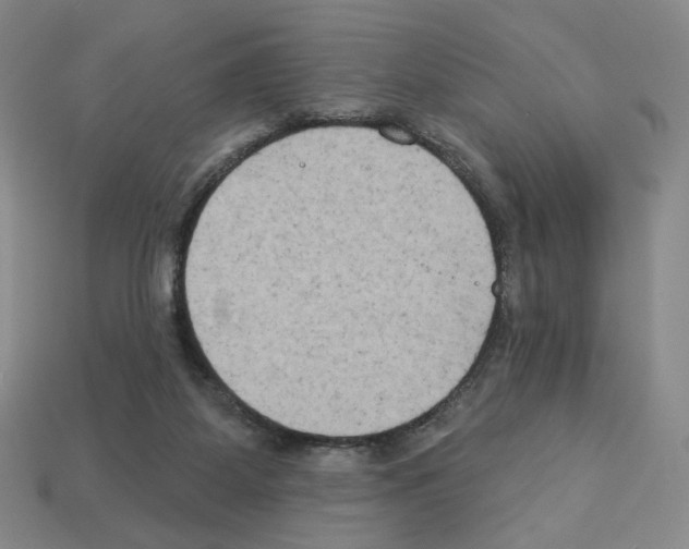 X0000112890115200910021422