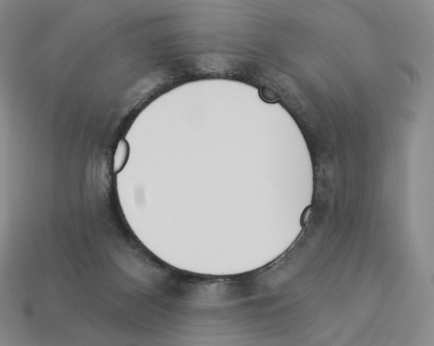 X0000112890116200910021422