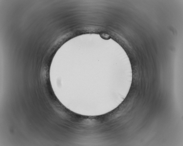 X0000112890119200910021422