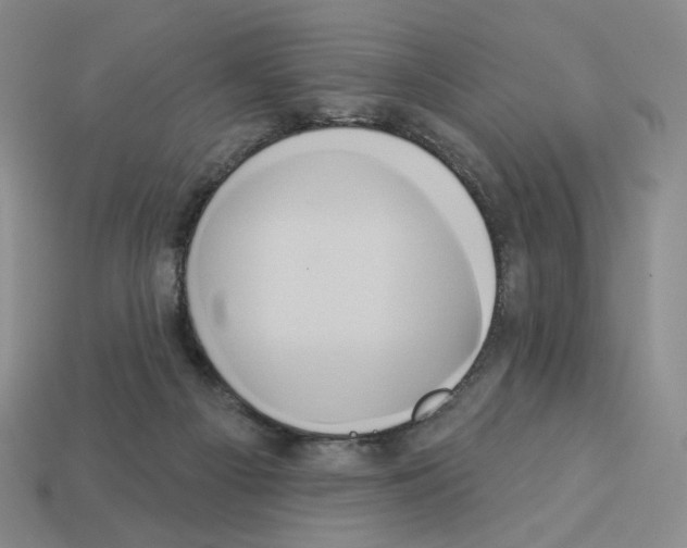 X0000112890121200910021422