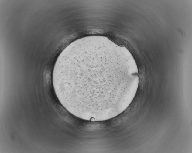 X0000112890123200910021422