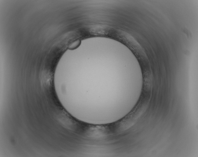 X0000112890125200910021422