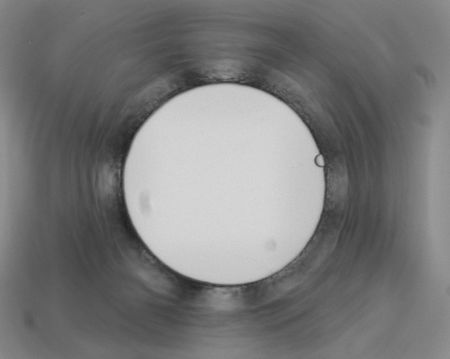 X0000112890126200910021422
