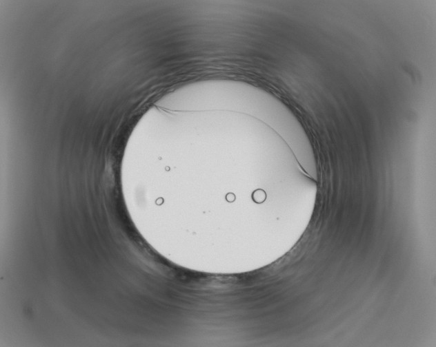X0000112890128200910021422