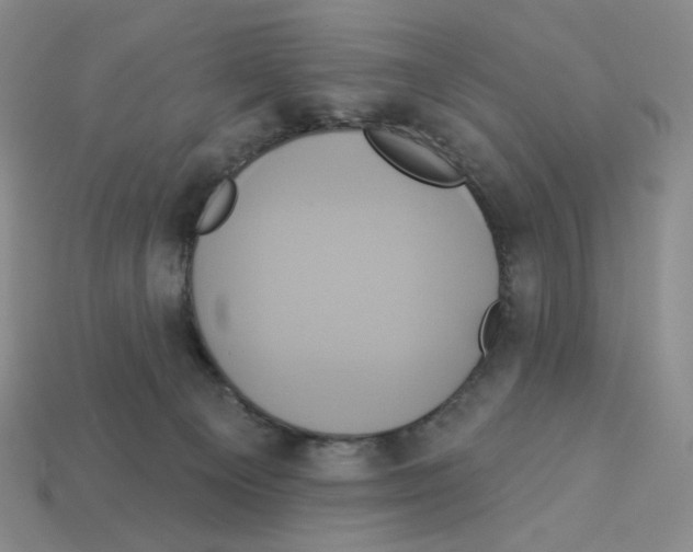 X0000112890129200910021422