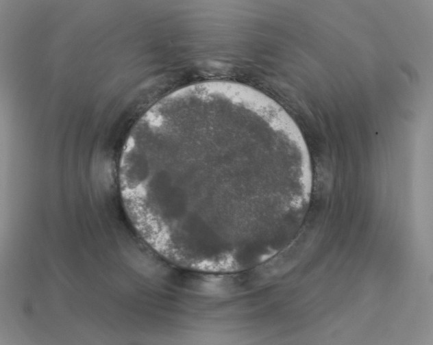 X0000112890130200910021422