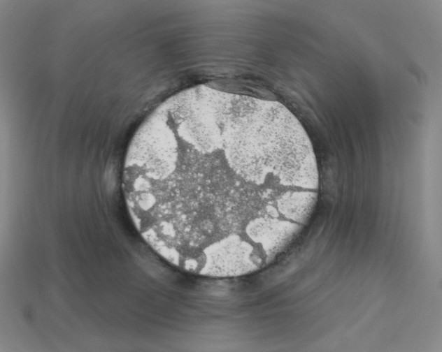 X0000112890131200910021422