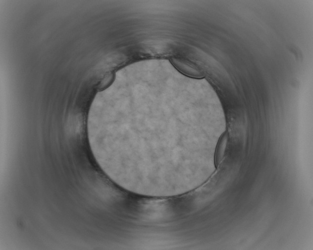 X0000112890132200910021422
