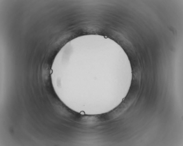 X0000112890133200910021422