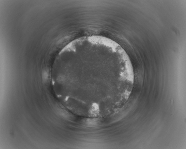 X0000112890134200910021422