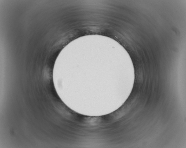 X0000112890135200910021422