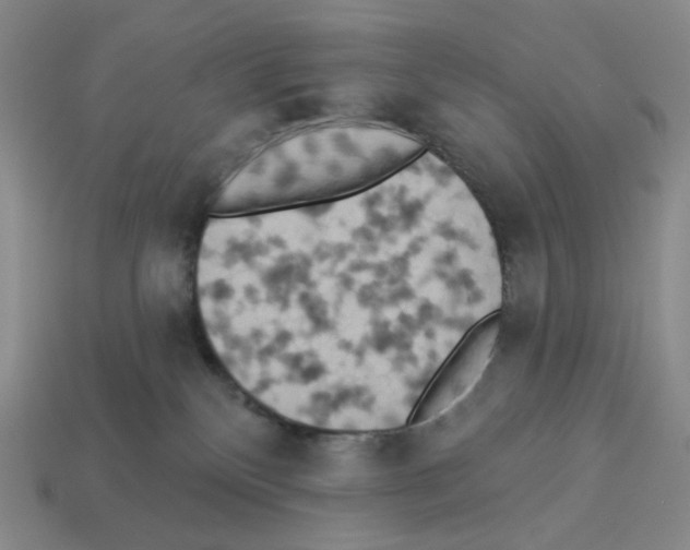 X0000112890136200910021422