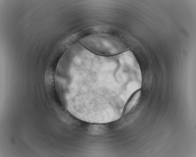 X0000112890137200910021422