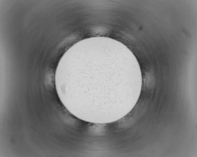 X0000112890138200910021422