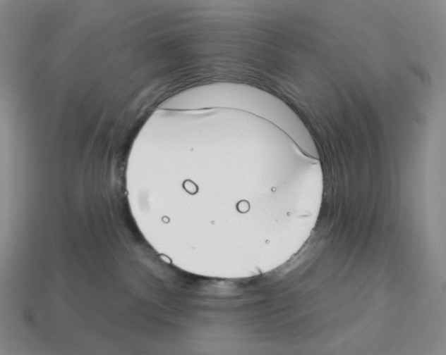 X0000112890140200910021422