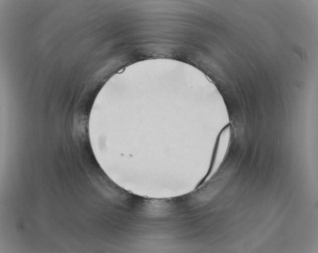 X0000112890141200910021422