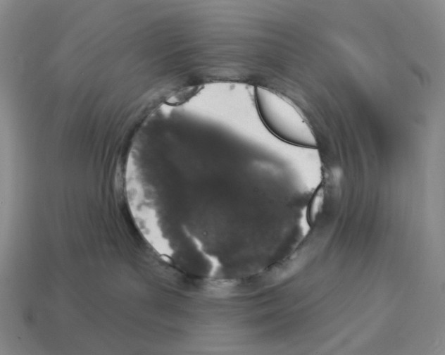 X0000112890143200910021422