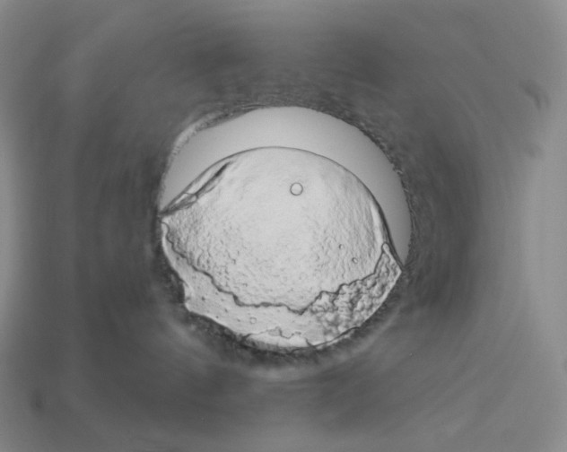 X0000112890144200910021422