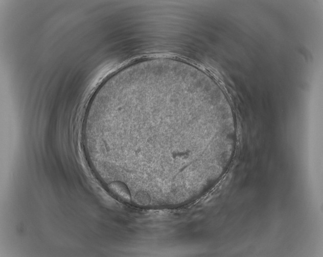 X0000112890145200910021421