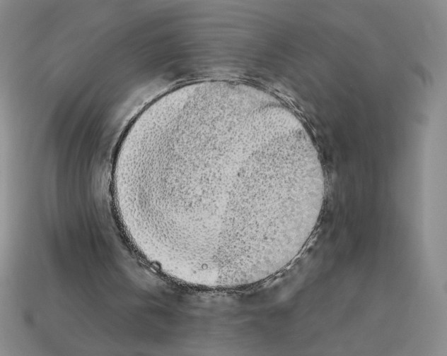 X0000112890146200910021421